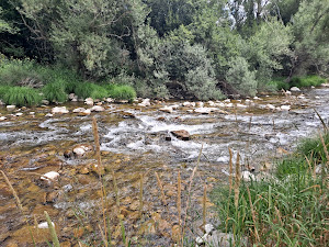 Área recreativa playa fluvial