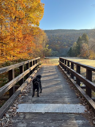 Hawk Inn and Mountain Resort