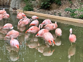 Zoo Atlanta