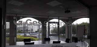 GES SEGUROS FERROL