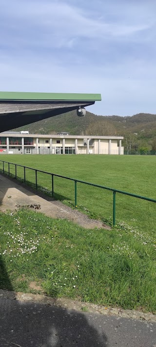 Terrain de football en herbe