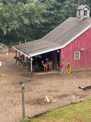 Snow Pond Farm