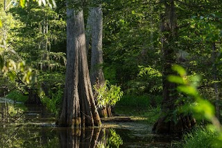 The Estate at River Bend - Addiction Treatment Center in Mississippi