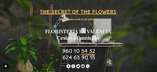 FLORISTERIA VALENCIA THE SECRET OF THE FLOWERS