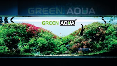 photo of GREEN AQUA