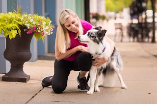 The Life of Riley Dog Training & Pet Care