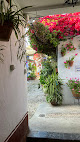 Foto de Mª Ángeles Arquero Pardo. Psicóloga.Terapeuta floral y aromaterapia. - Calle Marroquíes, 6, Centro, Córdoba, España
