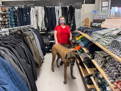 Photo of Antioch Ace Hardware - 501 Sunset Drive, Antioch, CA 94509, USA