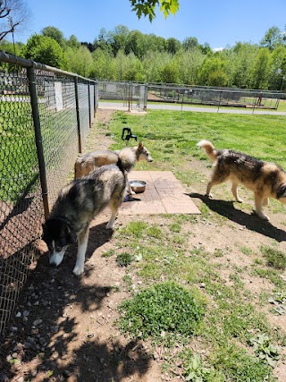 Hidden Oaks Dog Park