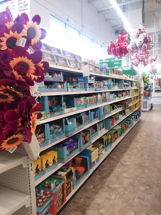 Dollar Tree