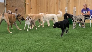 Manners Matter Dog Training and Daycare, LLC