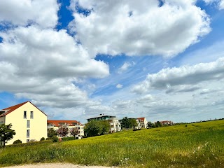 Wirtschaftskanzlei Griessen&Collegen