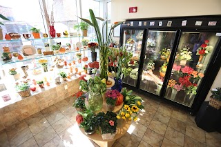 The Flower Box at Maine Medical Center