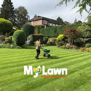 My Lawn