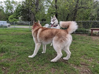 Candlewoof Dog Park