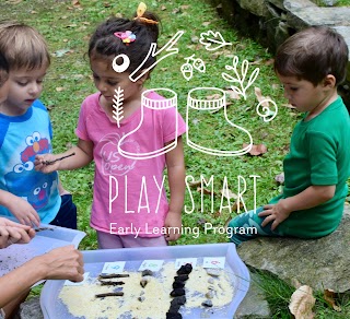 Play Smart Early Learning Program
