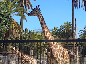 Zoobotánico Jerez