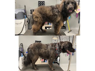 K9 Cosmetology Pet Stylists Escanaba