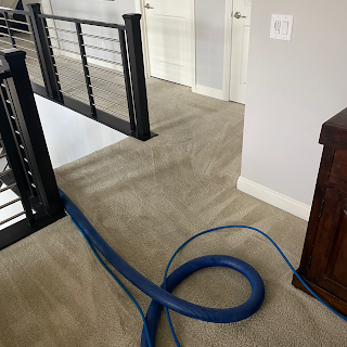 Jay's Carpet Cleaning