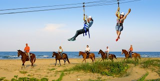 South Padre Island Adventure Park