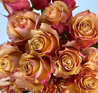 Reno Wholesale Flowers