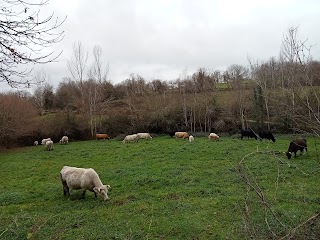 Ganaderia Ecologica En Zoo