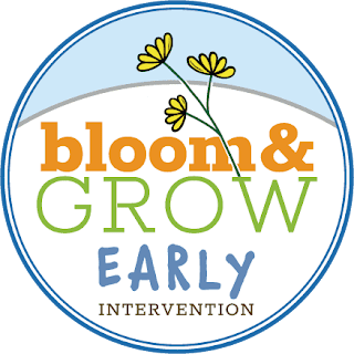 Bloom and Grow Early Intervention, LLC.