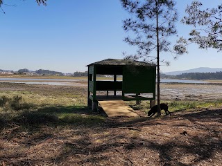 Observatorio de aves