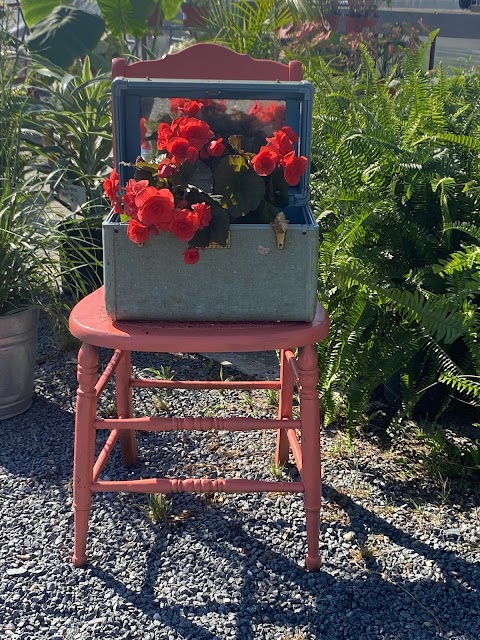 Kathryn's Flowers & Greenhouses