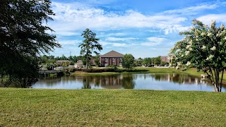 University Village Back Pool