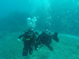 Diveria club de buceo