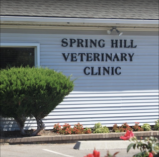 Spring Hill Veterinary Clinic