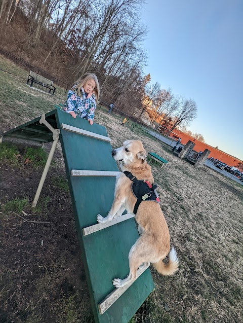 Photo of Port Jervis Dog Yard - Port Jervis, NY 12771, USA