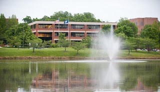 College of Humanities and Social Sciences