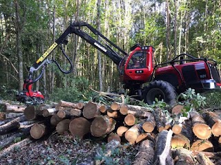 Comptoir Des Bois De Brive