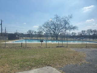 Strawflower Pool