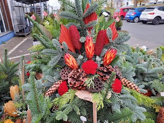 A.B. Florist Aktuell Inh. Günter Klement