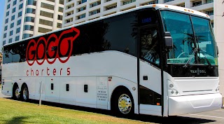 Gogo Charters San Antonio