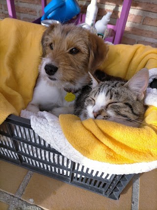 CLÍNICA VETERINARIA LA ESTACIÓN