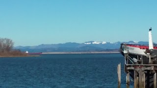 Marine and Environmental Research and Training Station