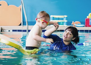 Aqua-Tots Swim Schools Canton