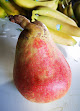 Foto de Frutaco - Carrer dels Dauradors, 31, Vinaròs, Castellón, España