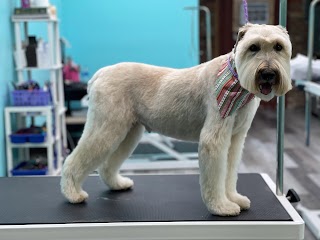 Grooming Girls Pet Salon