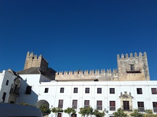 CÁDIZ EN RUTA. Excursiones y visitas guiadas por toda la provincia de Cádiz. Todo el año.