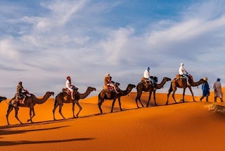 Circuitos, Rutas y Excursiones a Marruecos. Marrakech (Disfrutapormarruecos)