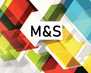 M & S Innovative Education consulting LLC