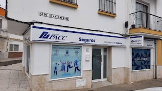 GRUPO PACC Correduría de Seguros