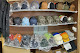 Photo of Darby & Co. Designs - 11519 Teasdale Road, Enid, MS 38927, USA