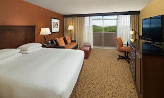 The Park Vista - a DoubleTree by Hilton Hotel - Gatlinburg