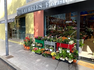 Floristeria Laureles